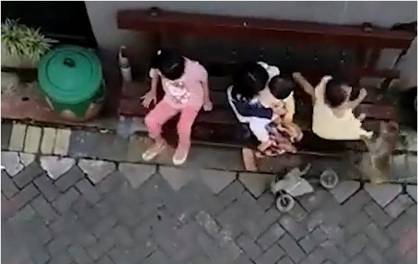 Обезьяна на мотоцикле пыталась украсть ребенка