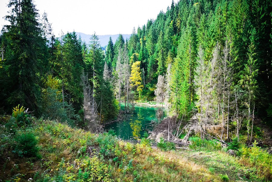 Оползни уничтожили живописное озеро в Карпатах (фото)