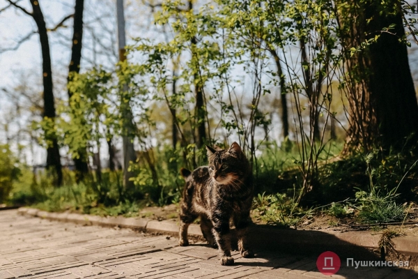 Счастье дышать тобой или Затишье перед «шашлычным аншлагом»: весна на одесском побережье. Фоторепортаж