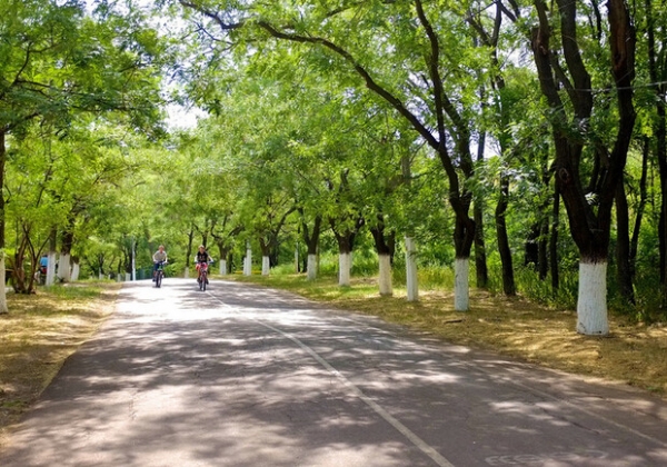УПАЛ С ЭЛЕКТРОСАМОКАТА: НА ТРАССЕ ЗДОРОВЬЯ ПАРНЮ ПРОЛОМИЛО ЧЕРЕП