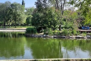Порадуйся: на территории Дюковского парка в Одессе почистили пруд 