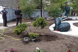 Поездка выходного дня: в Доброславе открыли уникальный сквер 