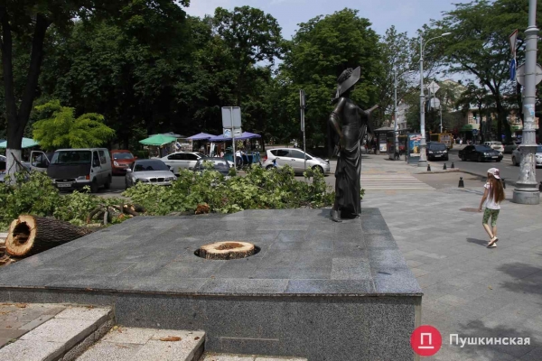 У памятника Веры Холодной в центре Одессы рухнуло дерево. Фото