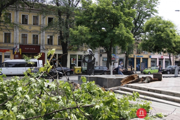 У памятника Веры Холодной в центре Одессы рухнуло дерево. Фото