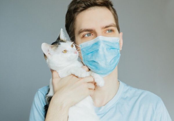 12 новых случаев на весь регион: какая статистика Covid-19 в Одесской области