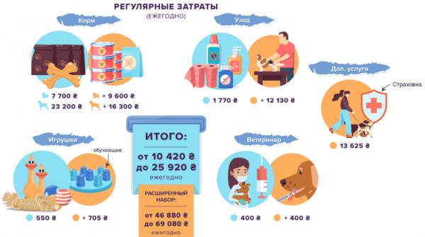 
Дорогие кошки и собаки: сколько нужно потратить на покупку и содержание
