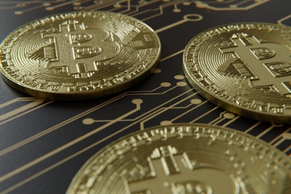 
Основатели африканской криптовалютной биржи исчезли с биткоинами на $3,6 млрд

