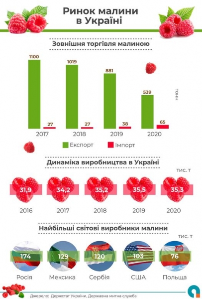 
Украина входит в топ-10 мировых производителей малины: где выращивают ягоду
