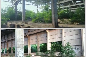 Сын перестал выходить на связь: пропавшего одессита нашли убитым 