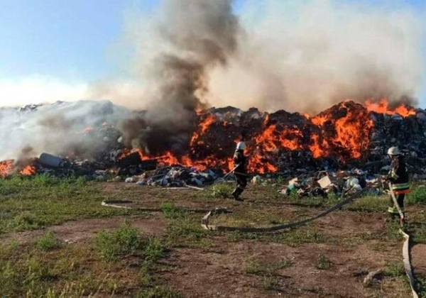 Восемь пожаров за сутки: Одесская область горит из-за жары