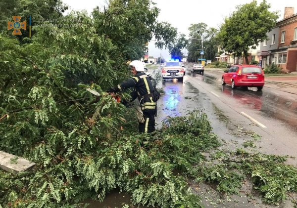 До полуметра воды: село под Белгородом-Днестровским затопило после сильного дождя