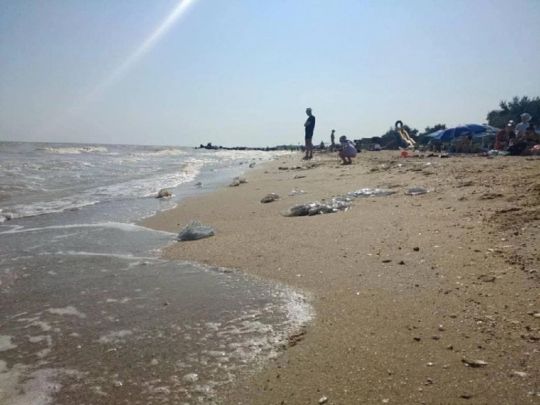 Немов до тіла приклали праску: туристи в Кирилівці показали, якою буває реакція на укус медузи
