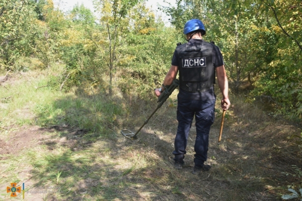 Эхо войны: в Березовском лесу собрали три сотни артснарядов и гранат 