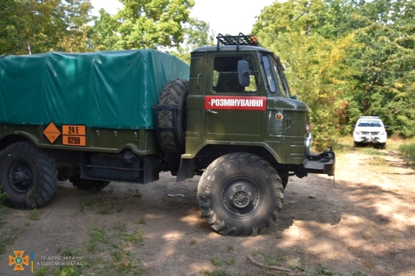 Эхо войны: в Березовском лесу собрали три сотни артснарядов и гранат 