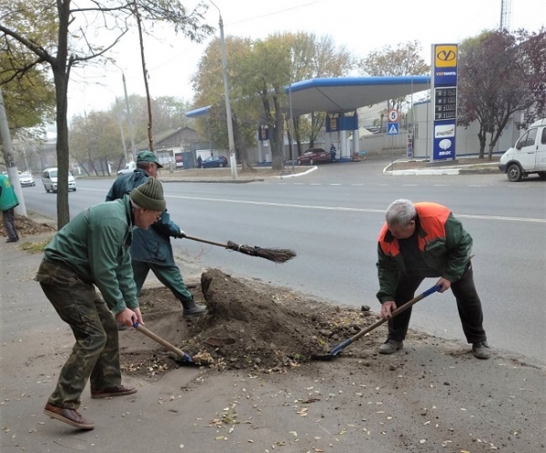 В Одессе высадили ещё 146 акаций
