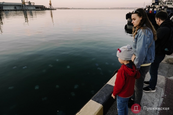 Полчища медуз и нежный закат: фоторепортаж с одесского морвокзала