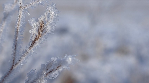 Арктический циклон: ночью температура опустится до -9°