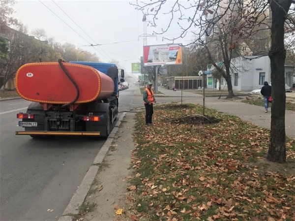 В Одессе высадили ещё 146 акаций