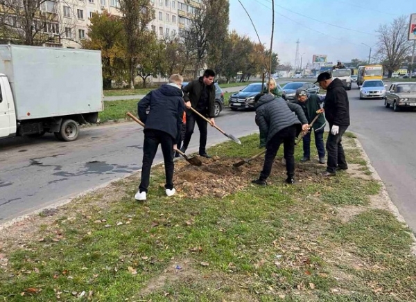 В Одессе высадили ещё 146 акаций