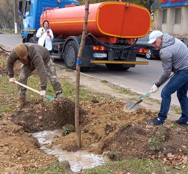 В Одессе высадили ещё 146 акаций