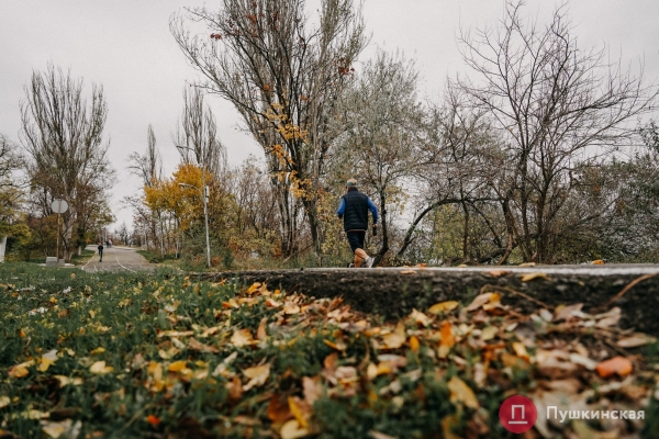 Золотая листва, море и абсолютный покой: прогулка по осенней Трассе здоровья. Фоторепортаж