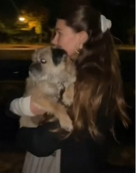 Дівчина підібрала в парку собаку, який виявився загубленим улюбленцем принца Швеції