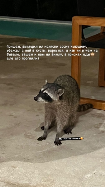 «Вийняв із коляски соску та втік у кущі»: у маєток сім'ї зірки НХЛ пробрався «нахабний злодій»