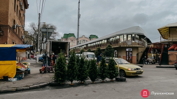 Где купить елку в Одессе: цена и ассортимент на елочном базаре у Нового рынка. Фото