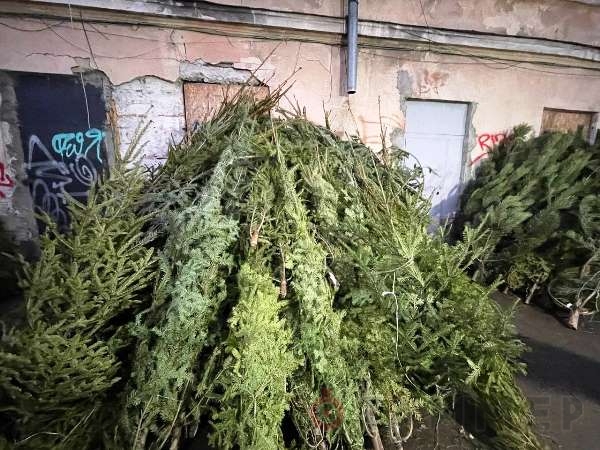 На Конной разворачивается ёлочный базар