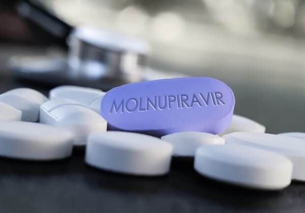 Украина закупит "Молнупиравир" для лечения коронавируса