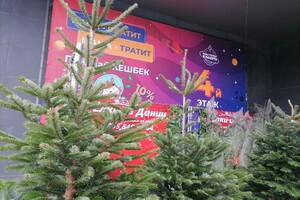 Цены от 300 гривен: в Одессе открылись елочные базары
