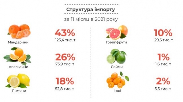 
Украинцы стали больше покупать цитрусовых: откуда поступают фрукты
