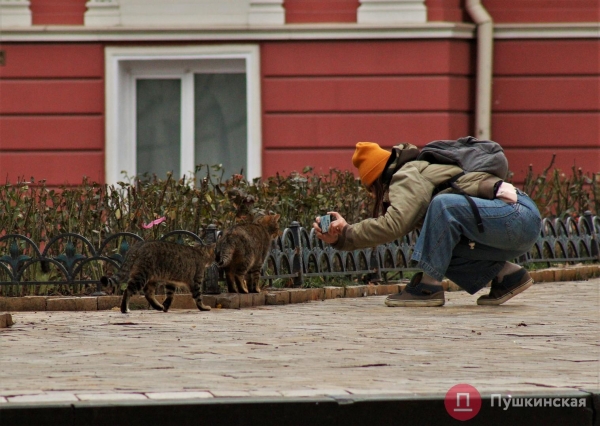 Позитив, несмотря на погоду: как центр Одессы встретил первое утро нового года. Фоторепортаж
