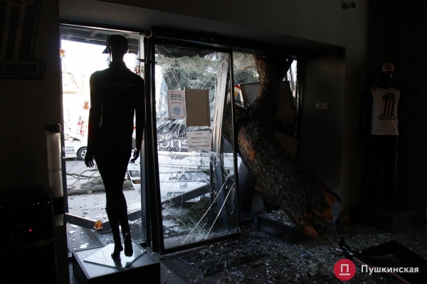 В Одессе автобус попал в ДТП: вылетел на встречку, снес дерево и врезался в мотосалон. Фото, обновлено