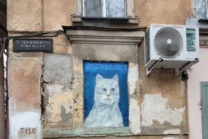 В Одессе появилось новое "кошачье" граффити: фотоотчет