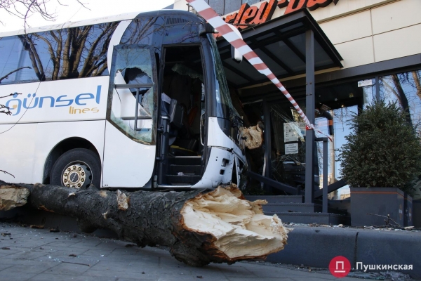 В Одессе автобус попал в ДТП: вылетел на встречку, снес дерево и врезался в мотосалон. Фото, обновлено