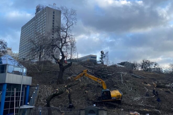 
Возле стадиона "Олимпийский" в Киеве срубили деревья – будут строить 30-этажный дом

