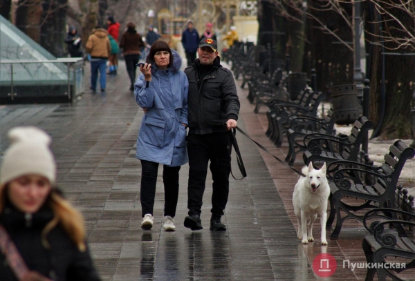 Позитив, несмотря на погоду: как центр Одессы встретил первое утро нового года. Фоторепортаж