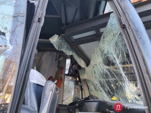 В Одессе автобус попал в ДТП: вылетел на встречку, снес дерево и врезался в мотосалон. Фото, обновлено