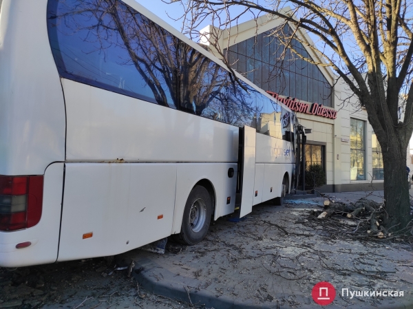 В Одессе автобус попал в ДТП: вылетел на встречку, снес дерево и врезался в мотосалон. Фото, обновлено