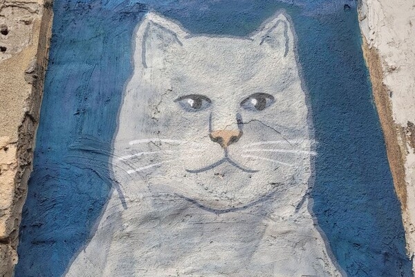 В Одессе появилось новое "кошачье" граффити: фотоотчет