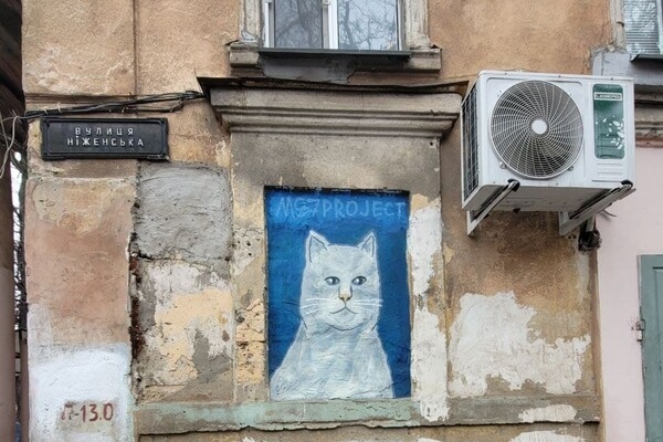 В Одессе появилось новое "кошачье" граффити: фотоотчет
