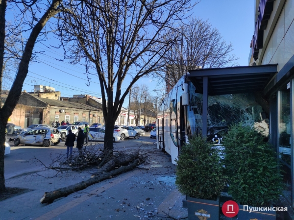В Одессе автобус попал в ДТП: вылетел на встречку, снес дерево и врезался в мотосалон. Фото, обновлено