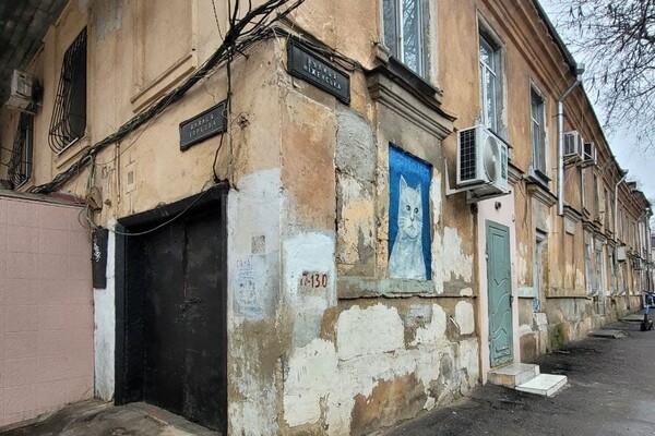В Одессе появилось новое "кошачье" граффити: фотоотчет