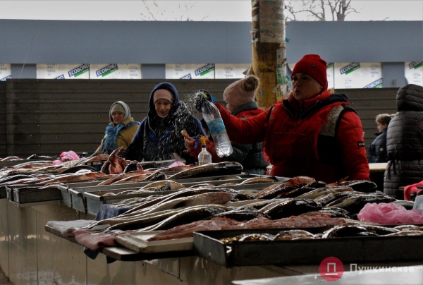 Реконструкция «Привоза»: что происходит на рынке и куда переехали рыбные ряды. Фото