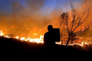 Смертельное ДТП и пожары в экосистемах: сводка одесских спасателей за сутки