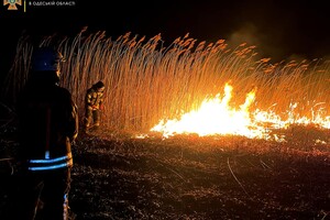 Смертельное ДТП и пожары в экосистемах: сводка одесских спасателей за сутки