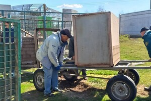 Из зоопарка в Одесской области эвакуировали хищников