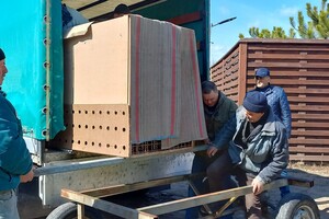 Из зоопарка в Одесской области эвакуировали хищников