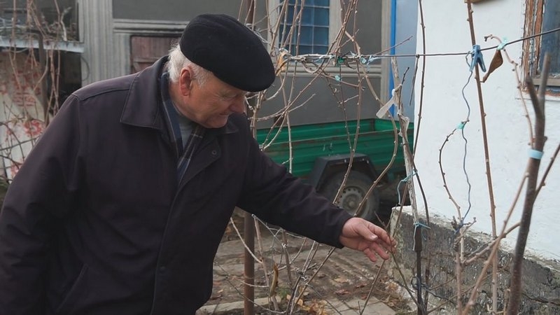 «Гранати ростуть просто біля хати»: як «приручити» екзота до української землі